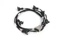 HT-186004 i6 Timer (EV1) Primary Injector Harness