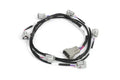 HT-186010 i6 Sumitomo (Denso) Primary Injector Harness
