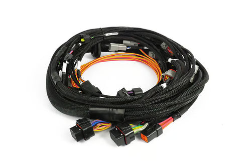 HT-186400 Nexus Rebel JZ - Main Terminated Harness