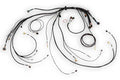 HT-186500 Nexus Rebel LS Terminated Harness for Nexus Rebel LS ECU