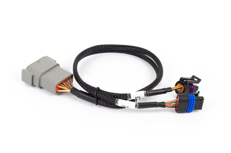 HT-186504 Nexus Rebel LS - Cable Throttle + IAC sub-harness