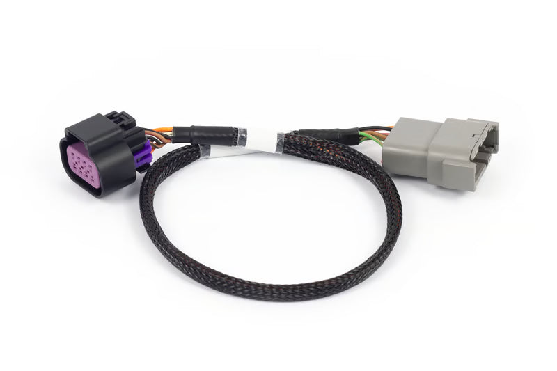 HT-186506 Nexus Rebel LS - 8-pin DBW adaptor