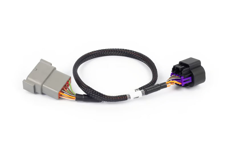 HT-186506 Nexus Rebel LS - 8-pin DBW adaptor
